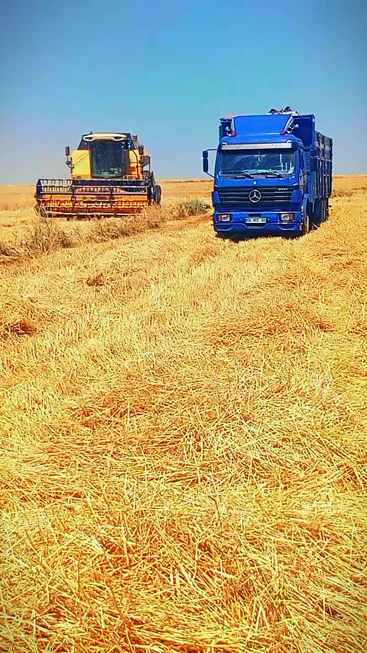 @الہفُہاروق