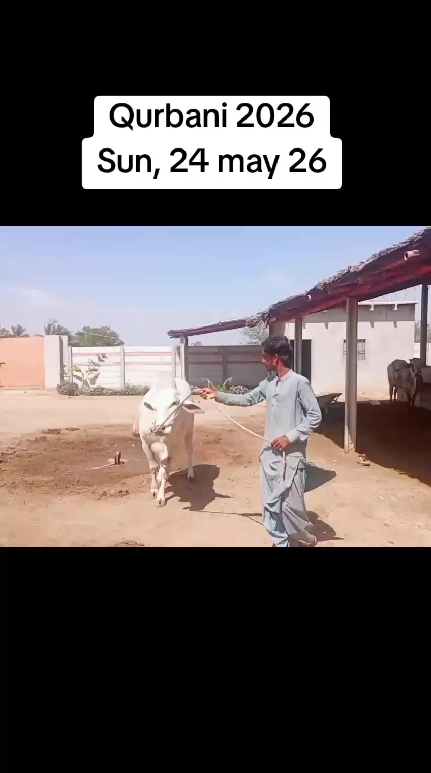@Muhammad Fahad Siddiqui