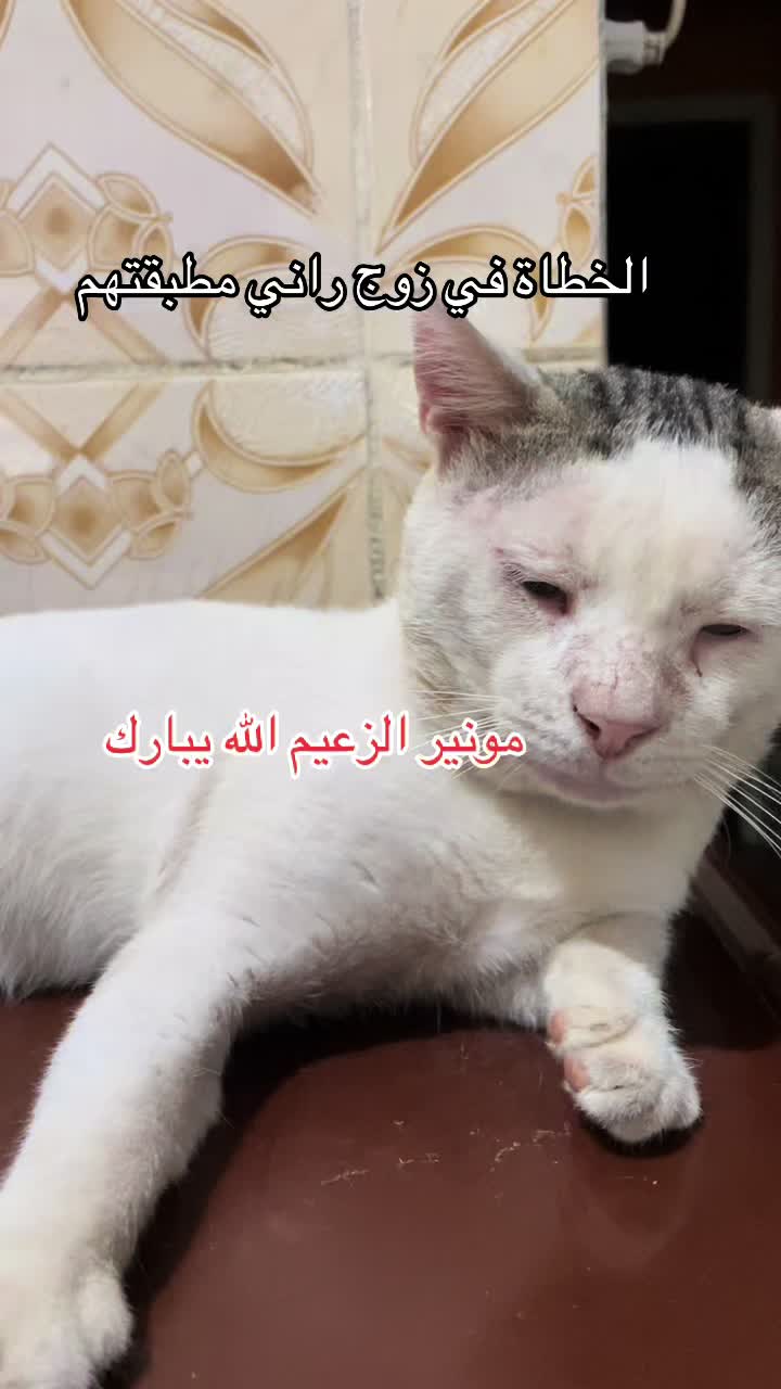 @صاكي شباب 👜