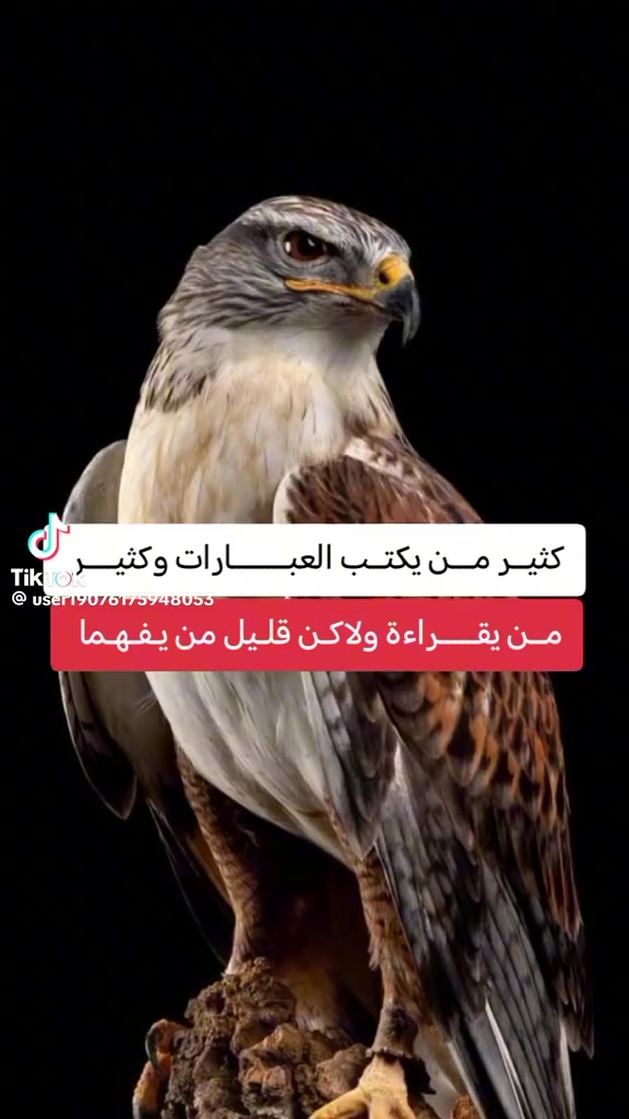 @CMGA__00001🫡🥷🥷