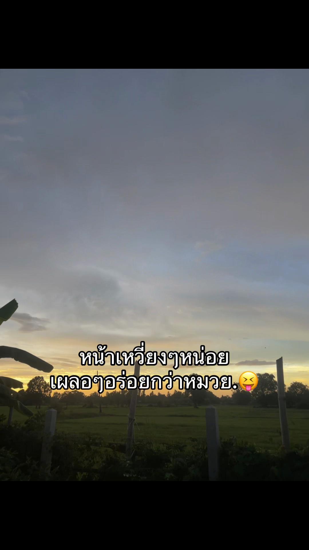 @เธรดรวม. (2.6k)