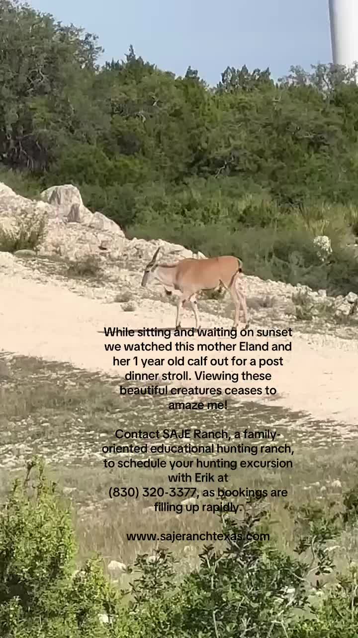 @SAJERanch