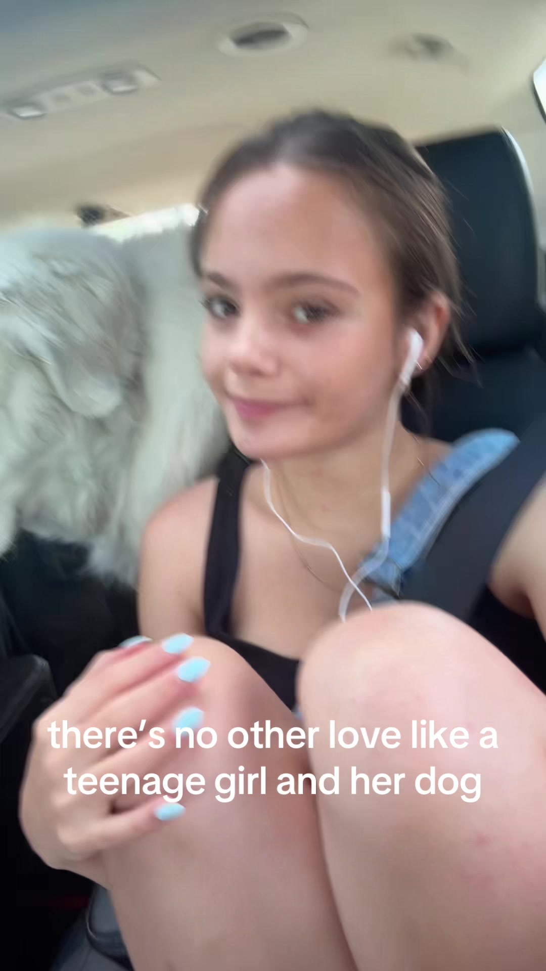 @stella