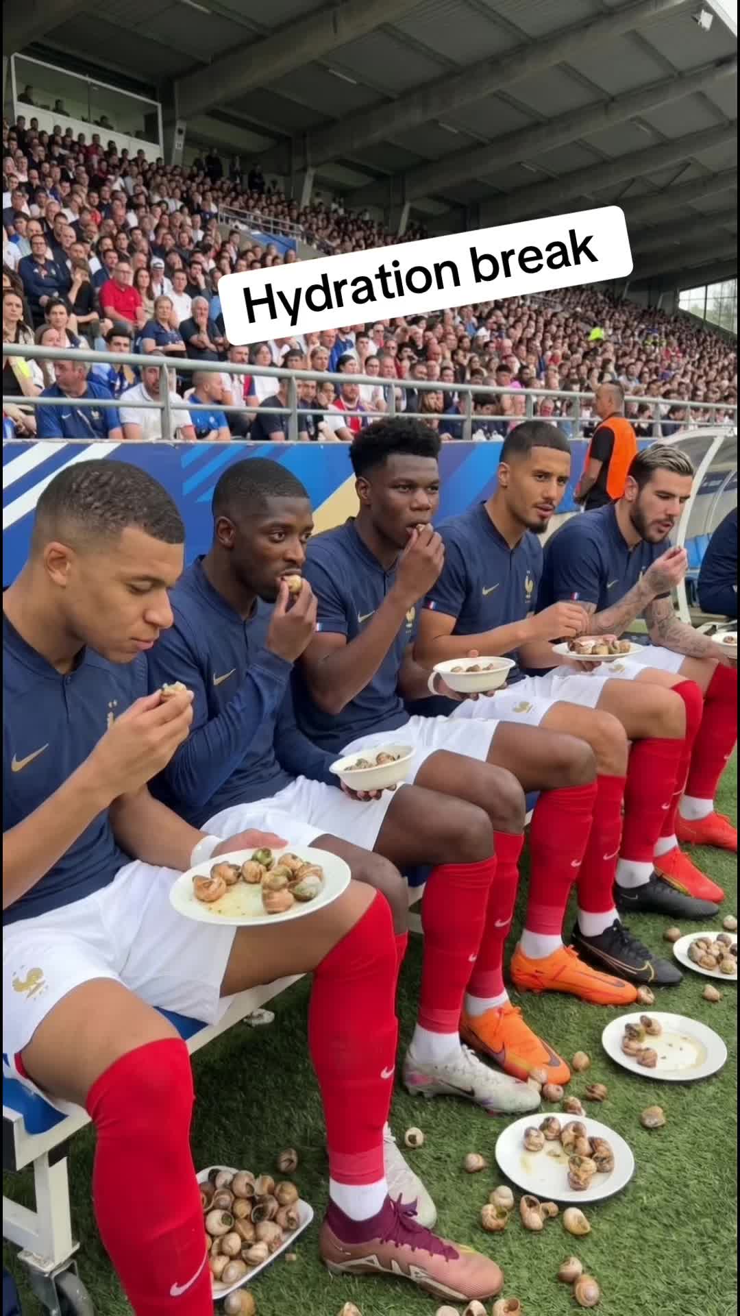@goalwavve