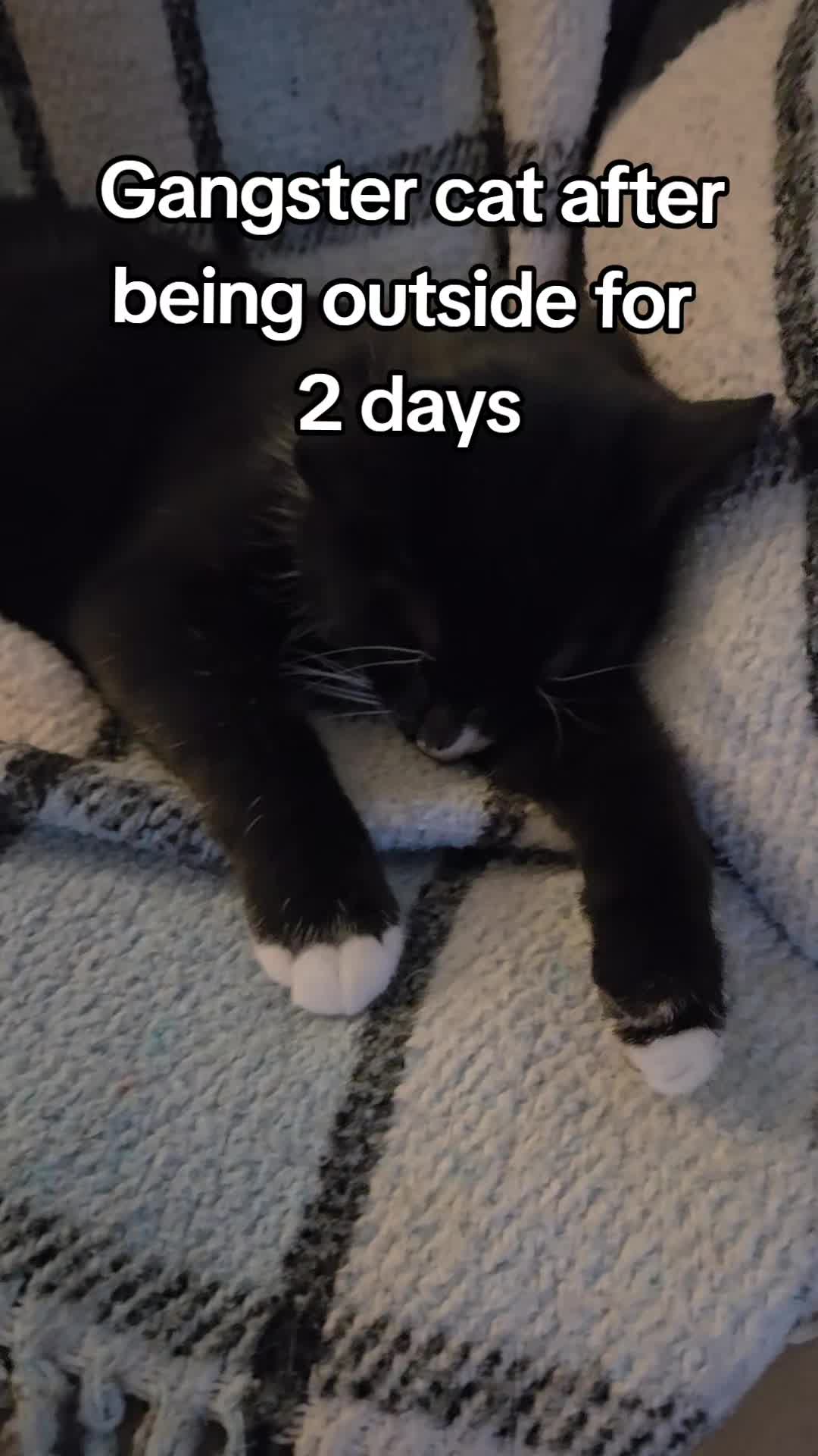 @Trailerpark2