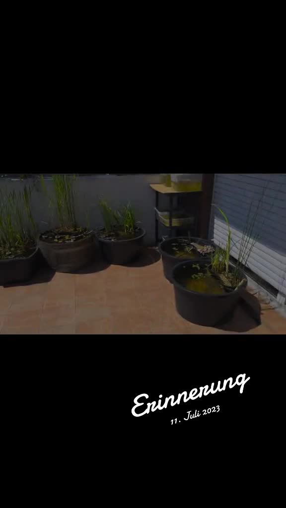 @Barschfan Aqualive