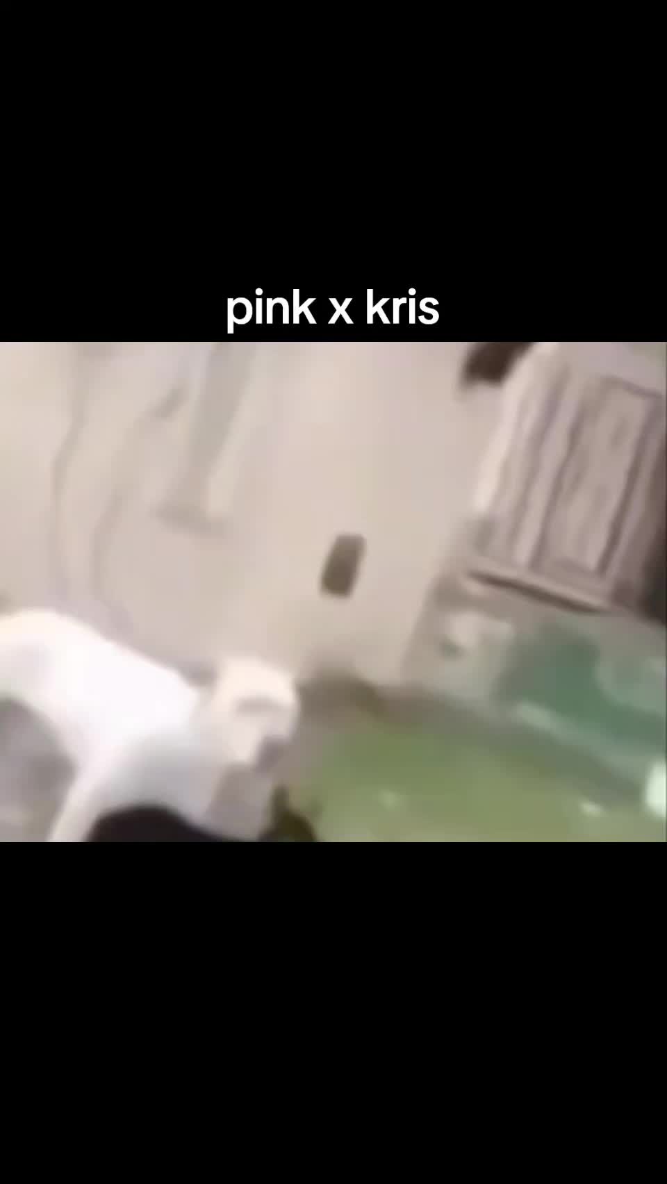 @pink's loving wife