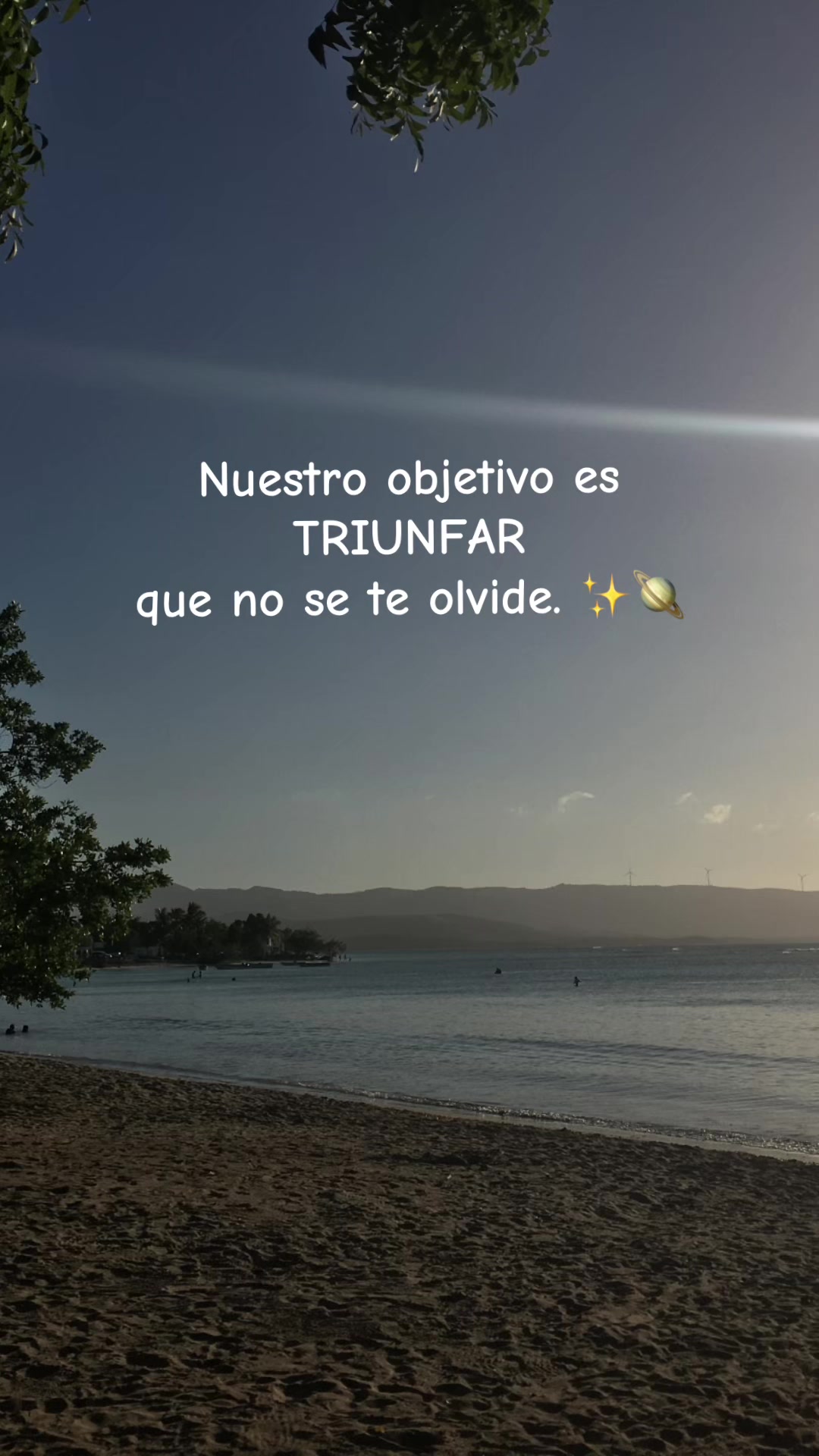 @Elizabeth Feliz