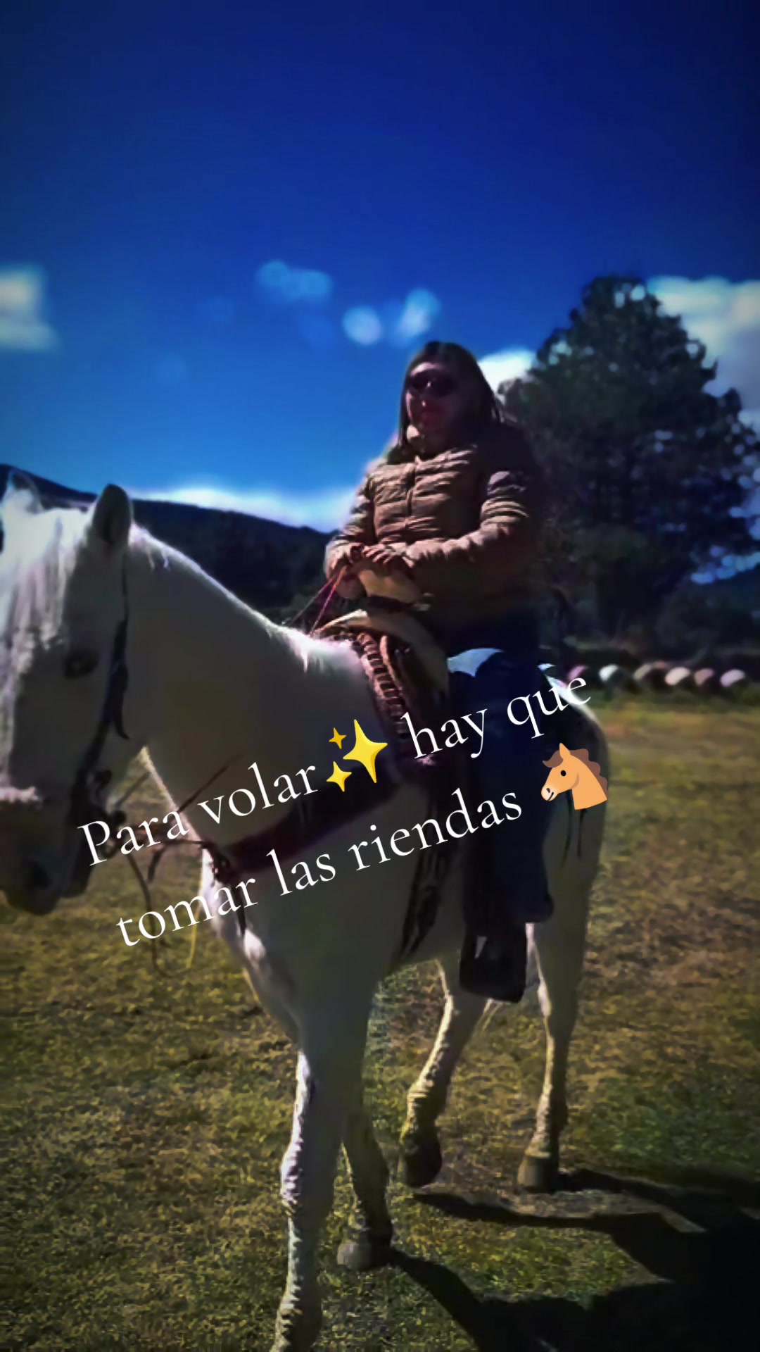 @Miss Mondrag&oacute;n