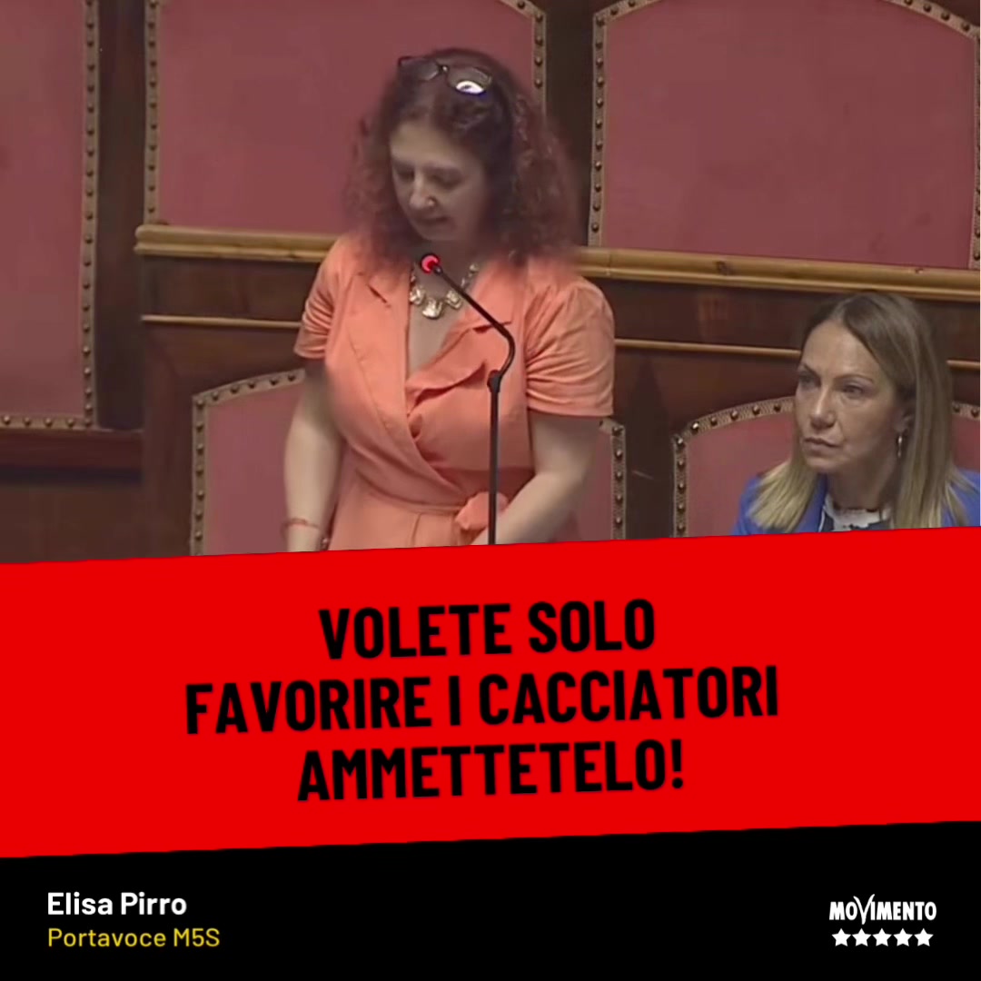 @Elisa Pirro