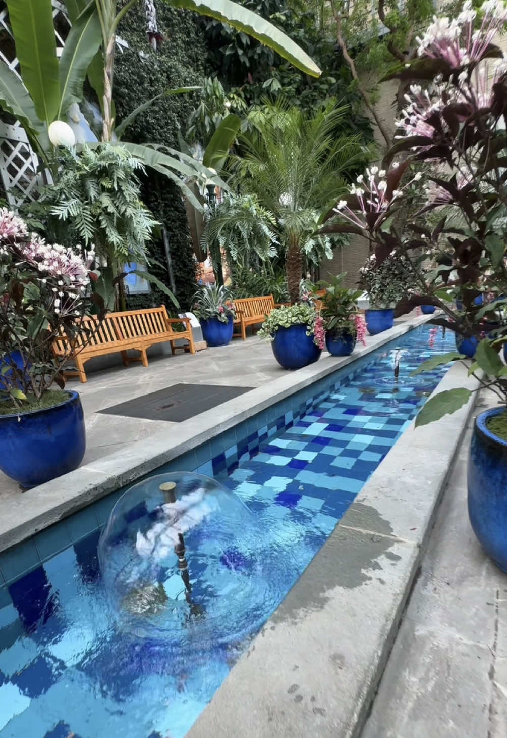 @bluerose