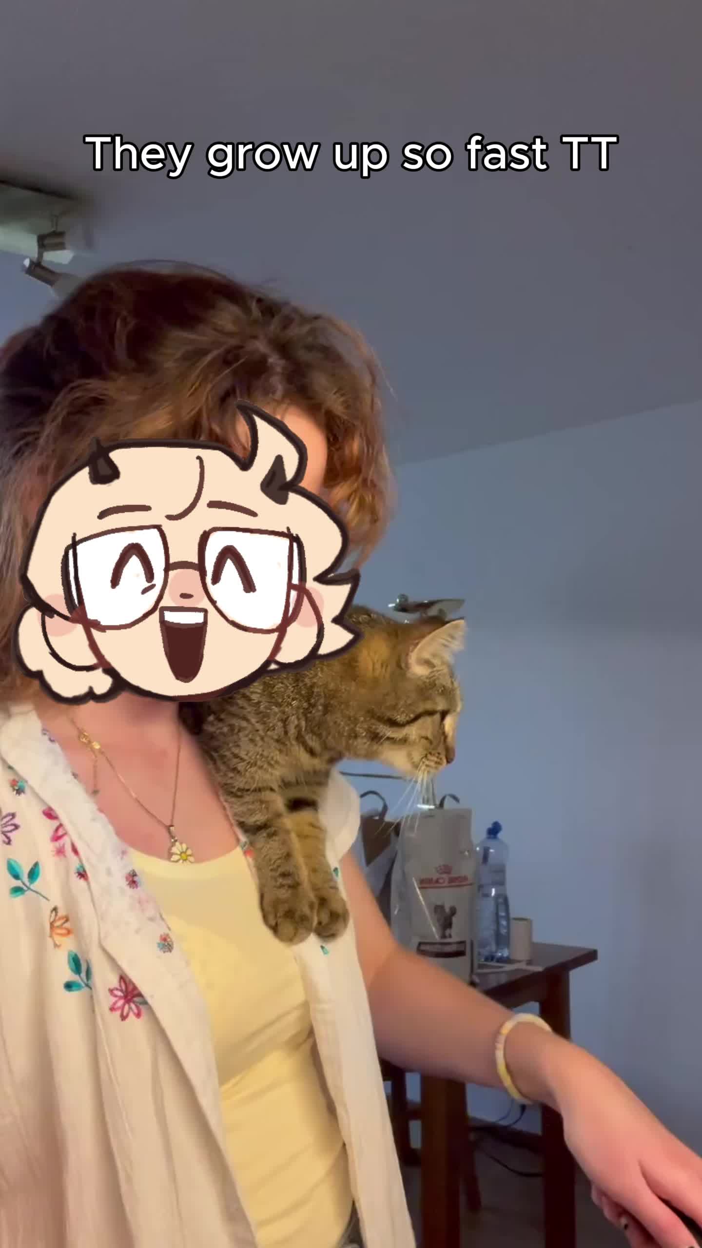 @Bluebiscuits