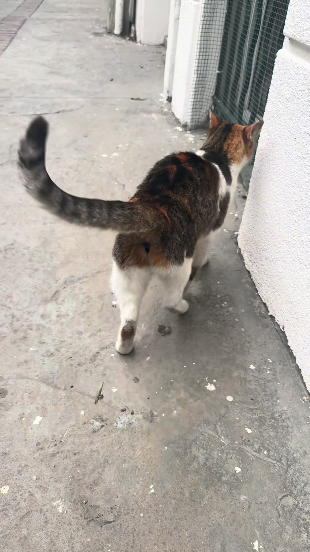 @M. H&uuml;rcan DEMİRCAN