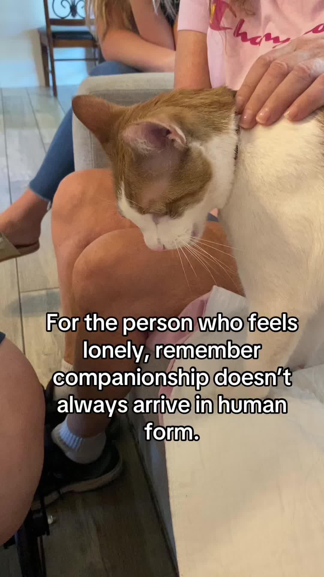 @Therapy Cat Roger & Family