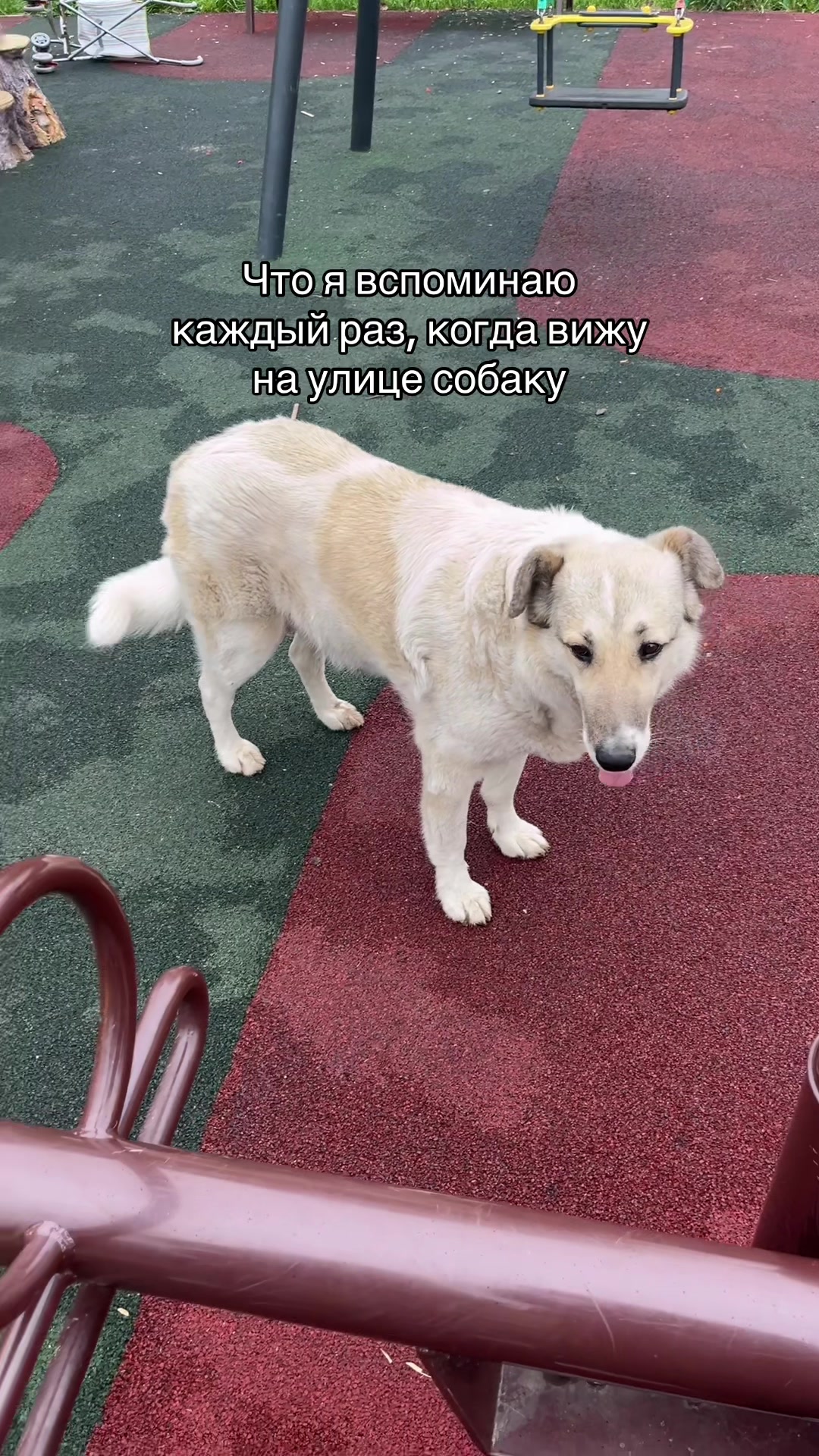 @тгк:либэйй