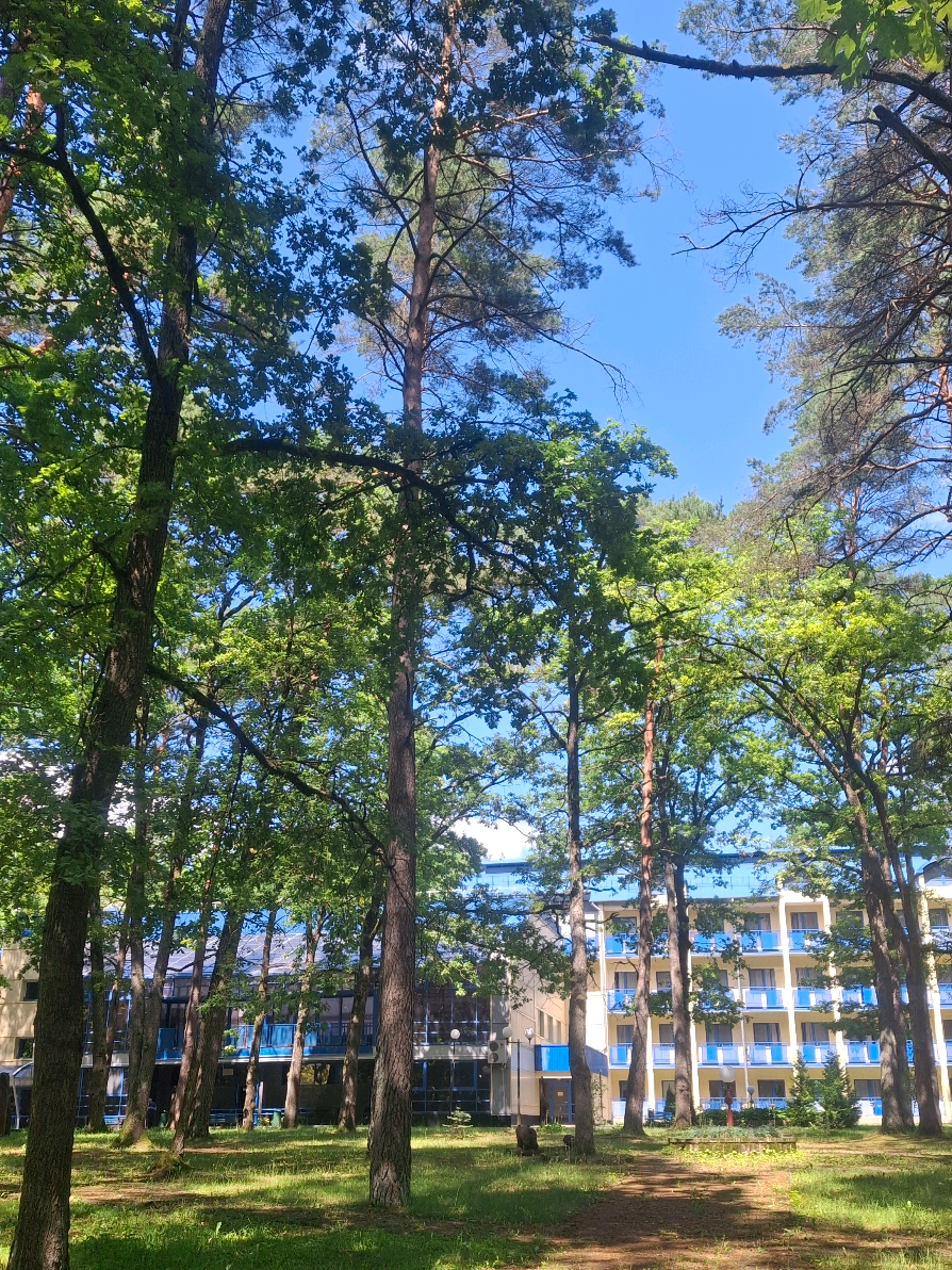@🍒Спелая_Черешня🍒
