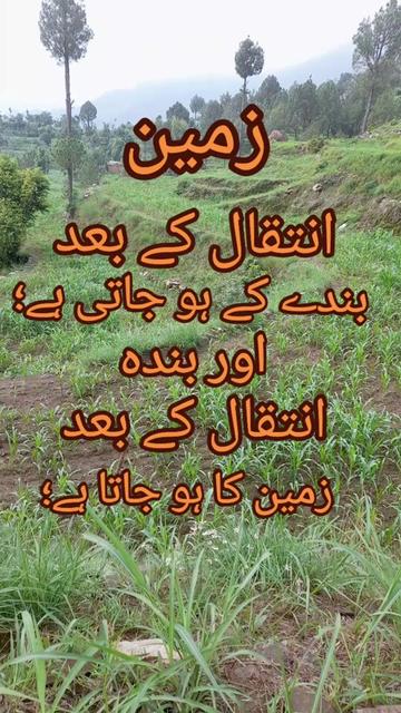 @nosher_ustad