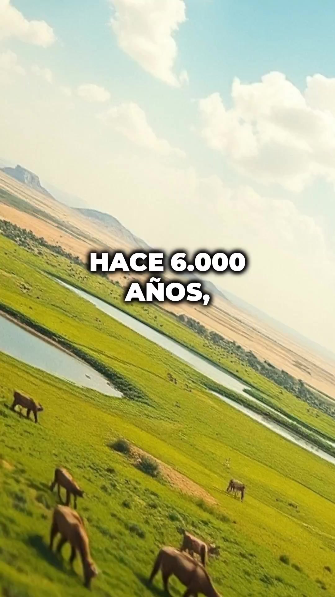 @Archivo 2050