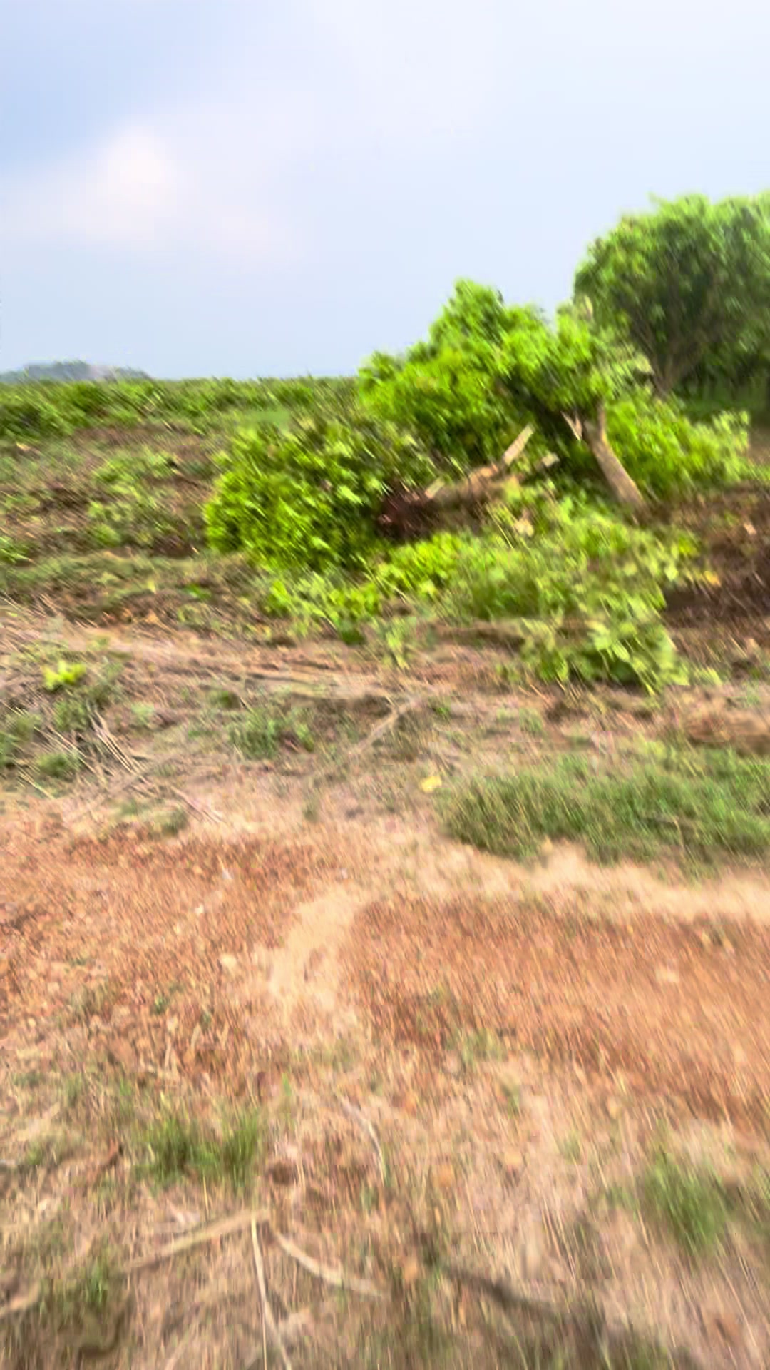 @បង ឡង99529