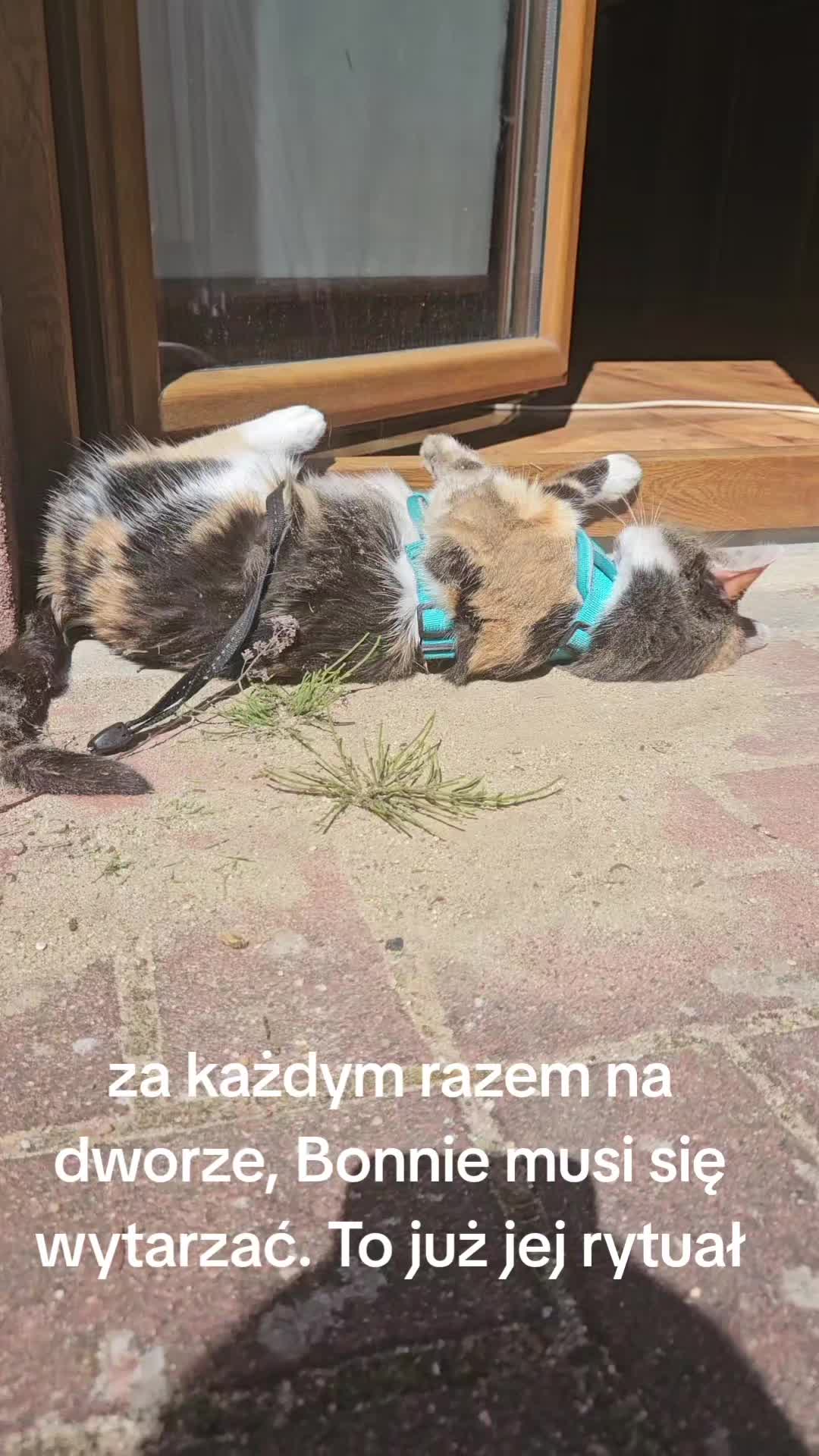 @Travelgirl