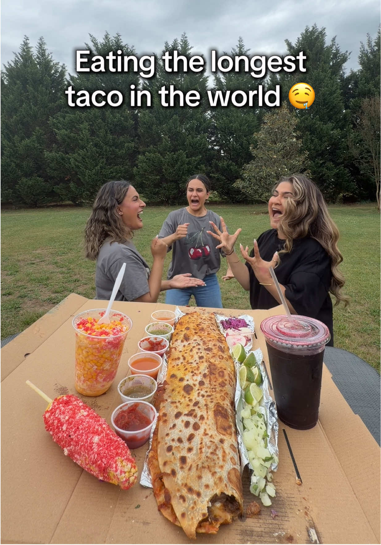 @Thesisterz