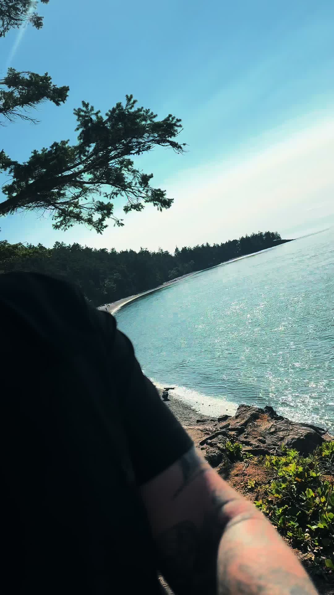 @🌲 James | WA 🏔️