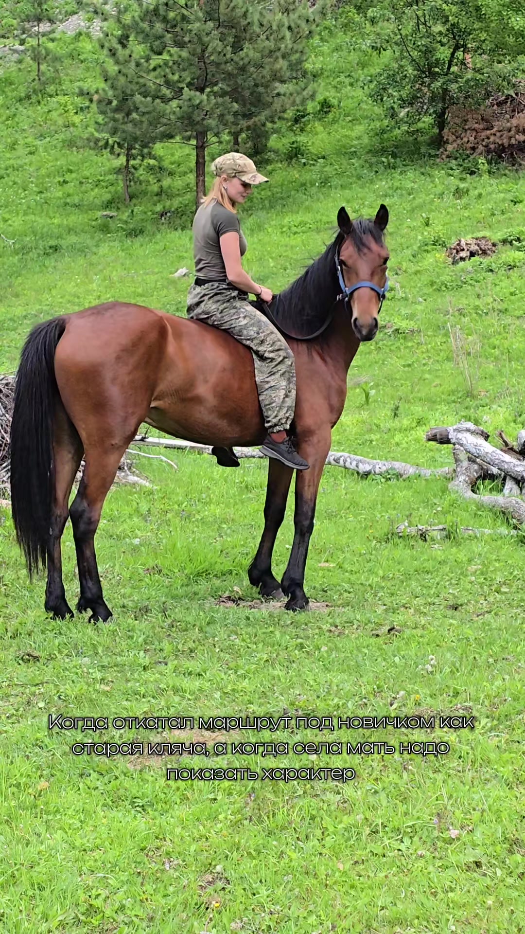 @tg: altaihorses