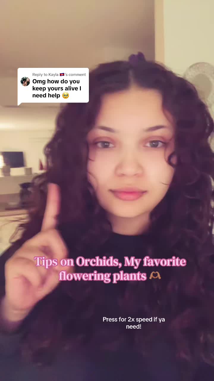 @Rainyblueskye