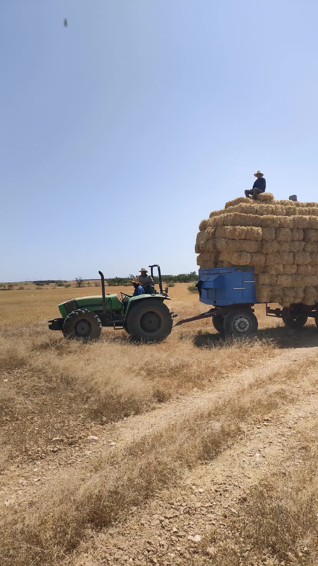@chak chabani 🇮🇹⚓💰شكشباني
