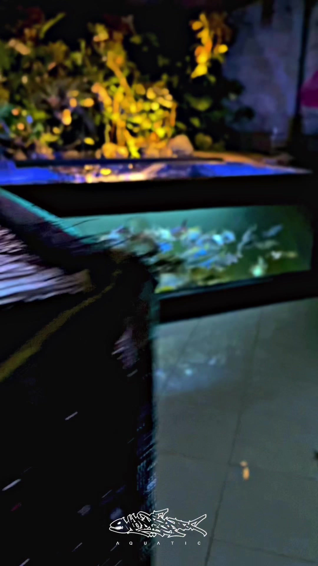 @Wild Predator Aquatic