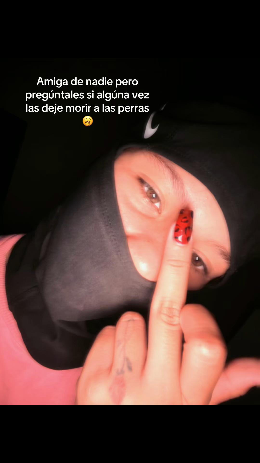 @Ana🐍