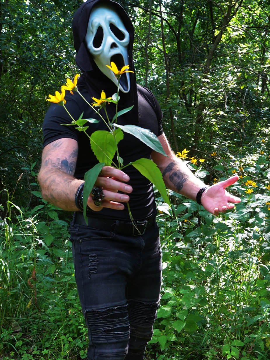 @TheMidnightRaven