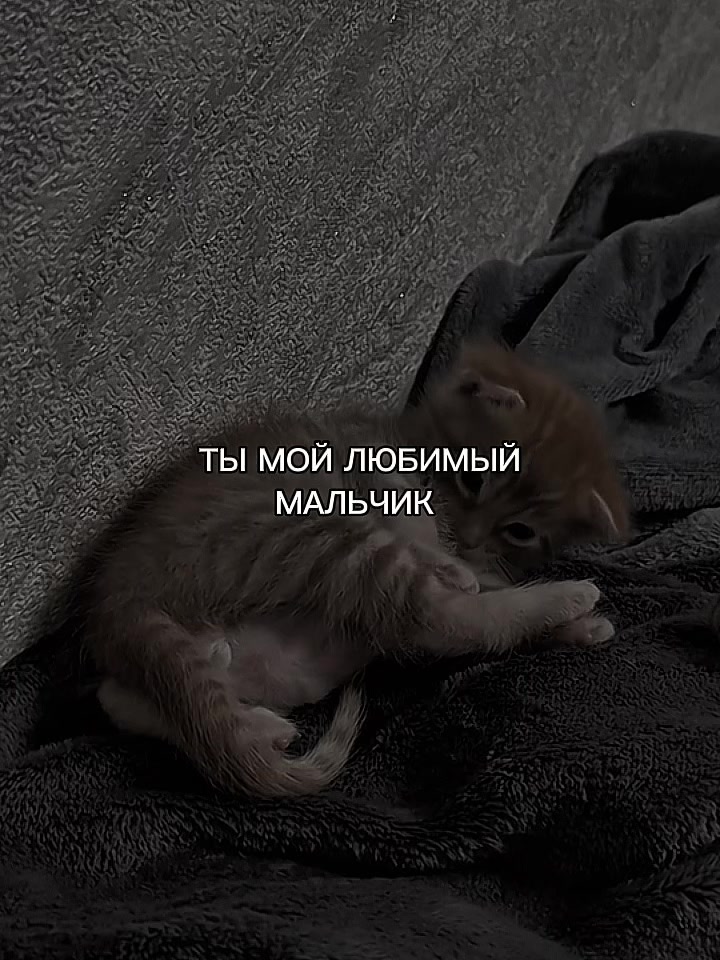 @ХХИКА