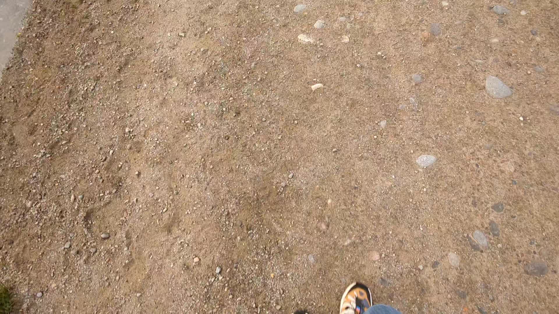 @bergwuschel