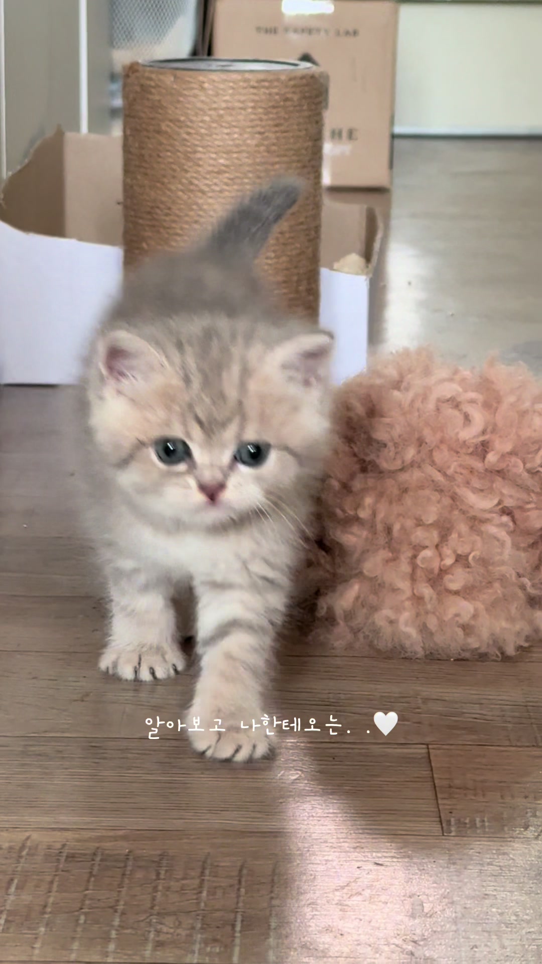 @Nya_냐