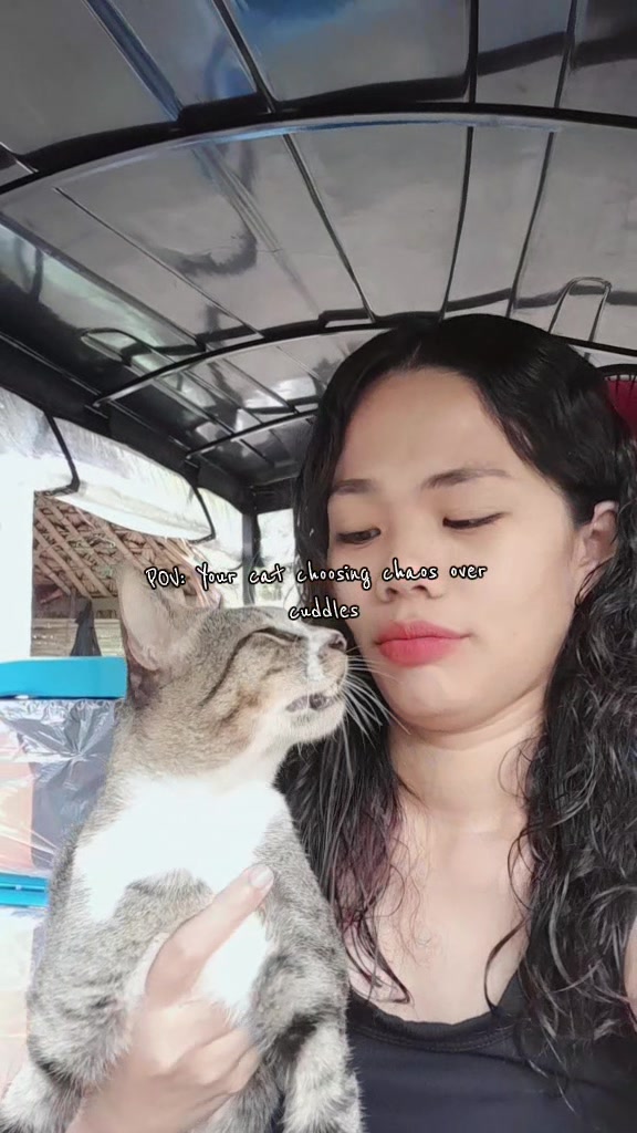 @EL Liz