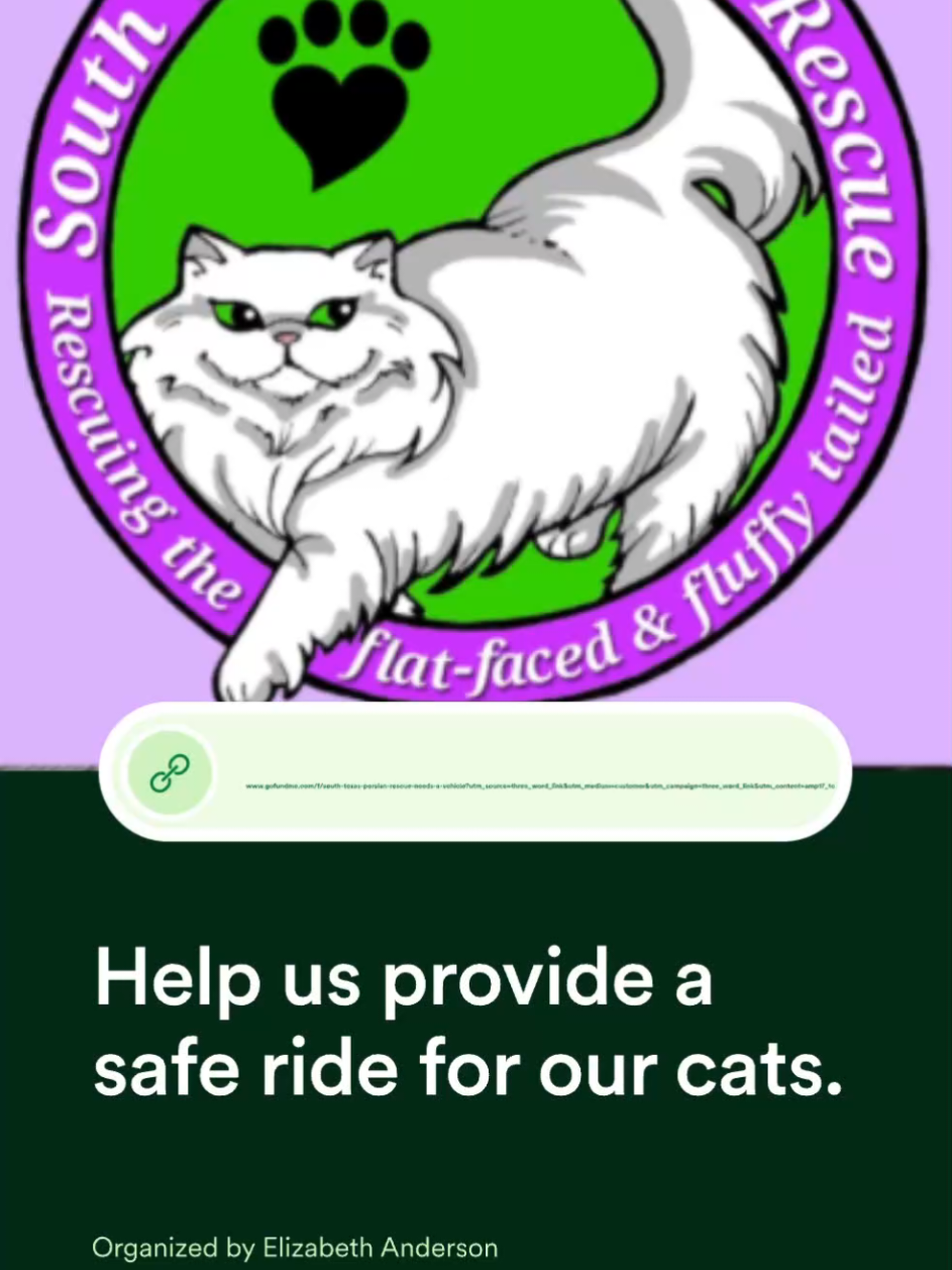 @South Texas Persian Rescue