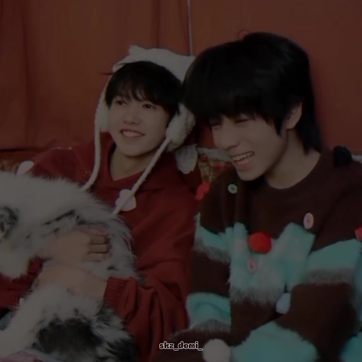 @Skz_Domi_๐