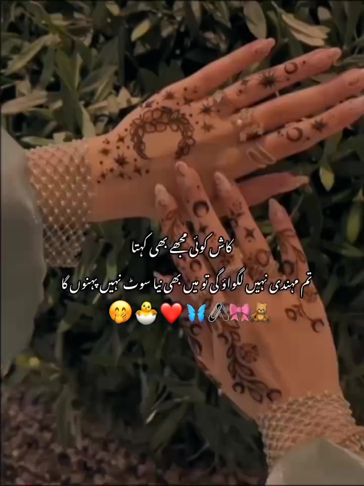 @ᥫ᭡𓆩𝑲𝒊𝒏𝒛𝒖𝒖𓆪⏤͟͟͞͞🐼⃟🌷˚₊