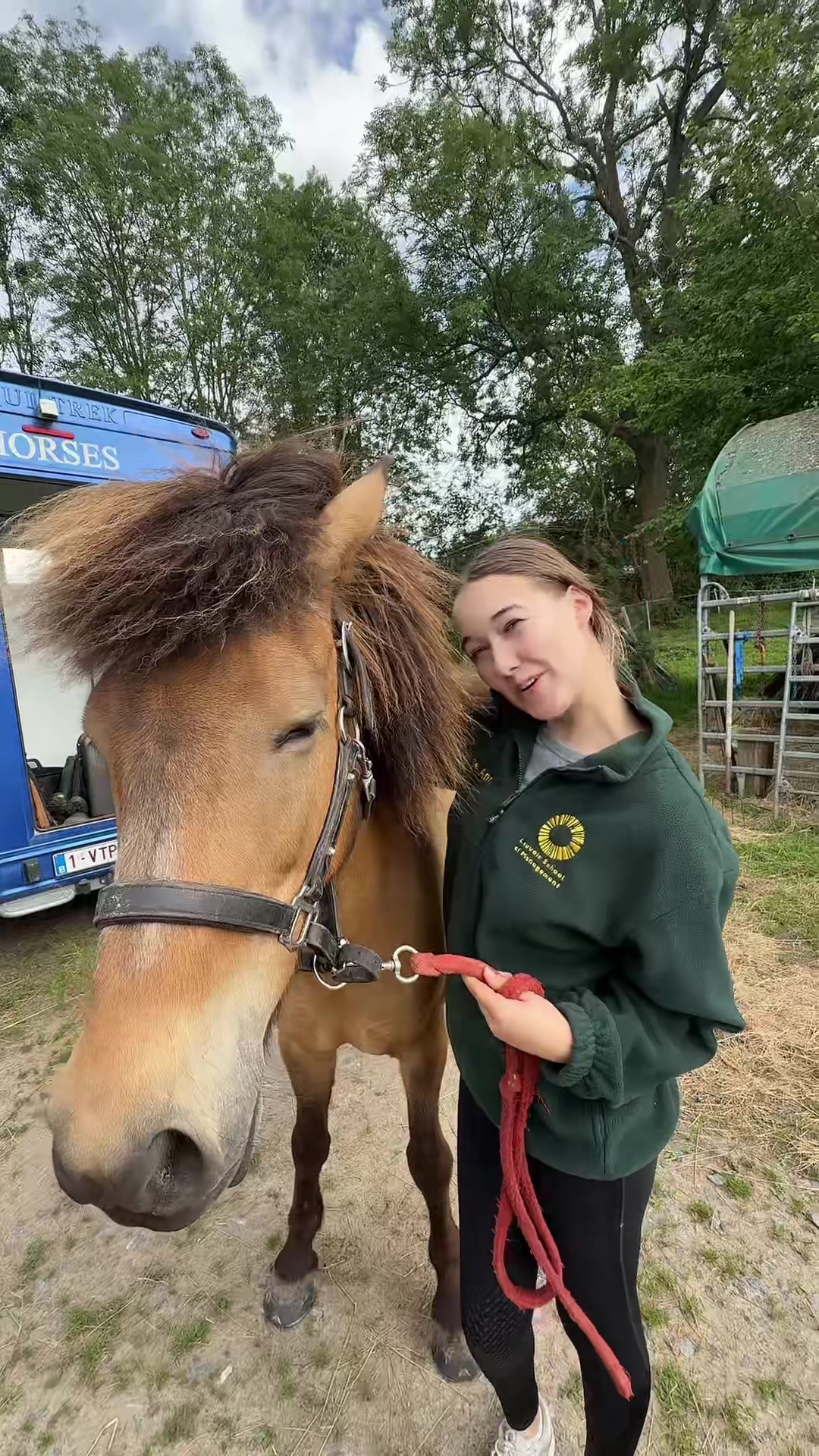 @Het Paardenmeisje ✨🐴