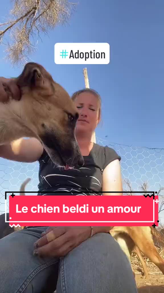 @Les&ensp;&eacute;curies&ensp;de&ensp;la&ensp;roseraie