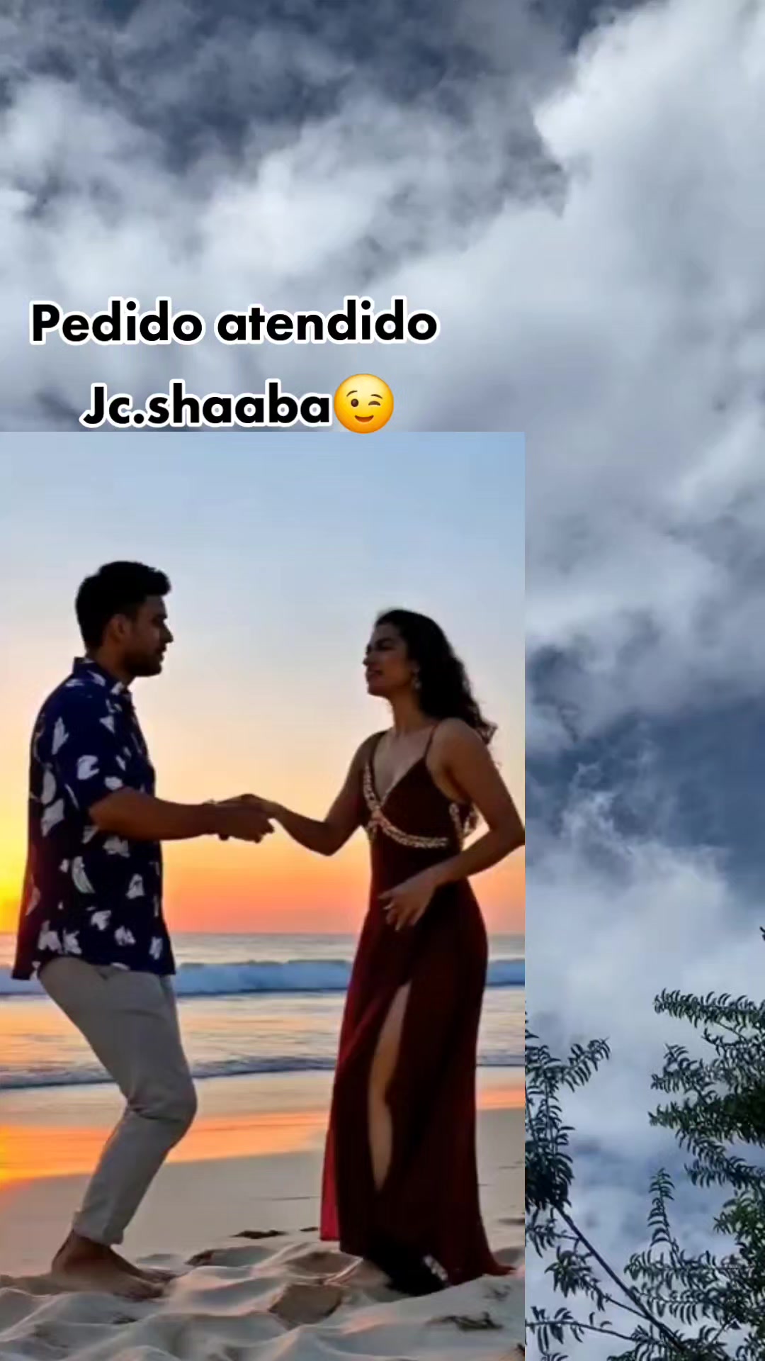 @LobaNegra✔️
