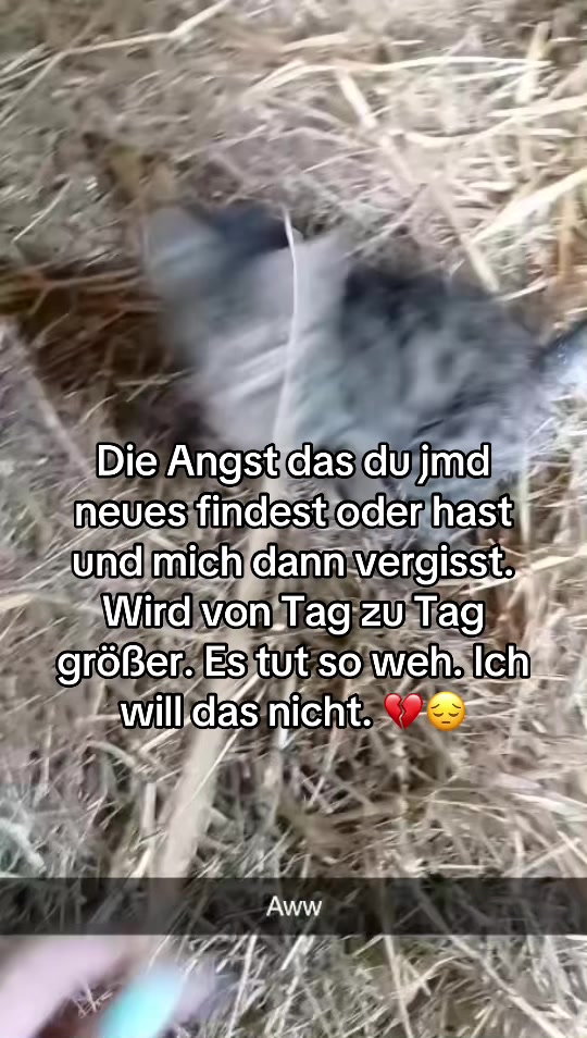 @C&auml;cilia_5