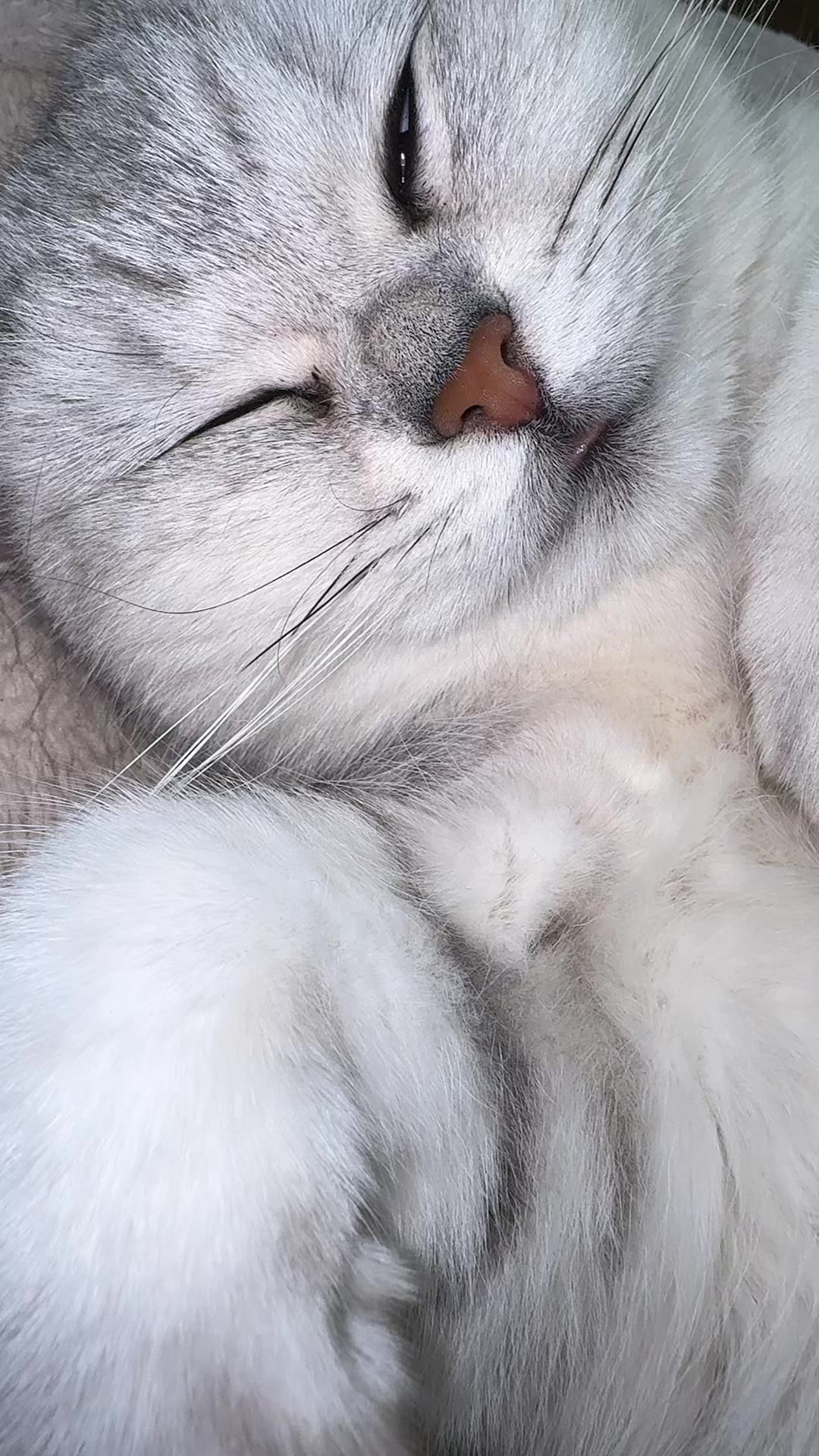 @Счастливые моменты