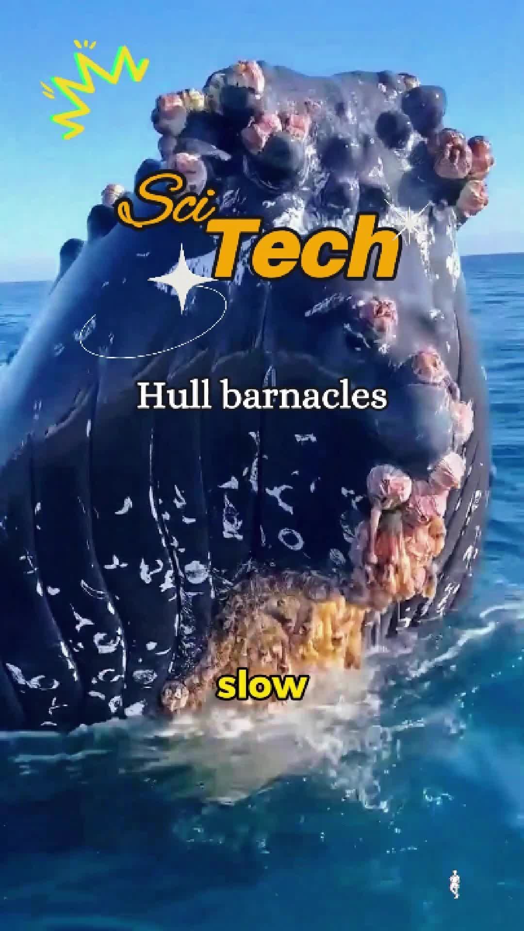 @ScitechTime