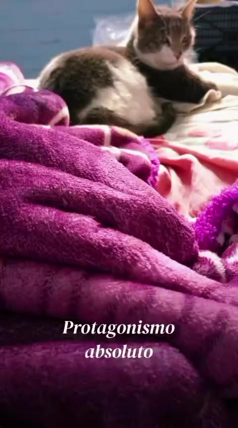 @Lupita Ballesteros