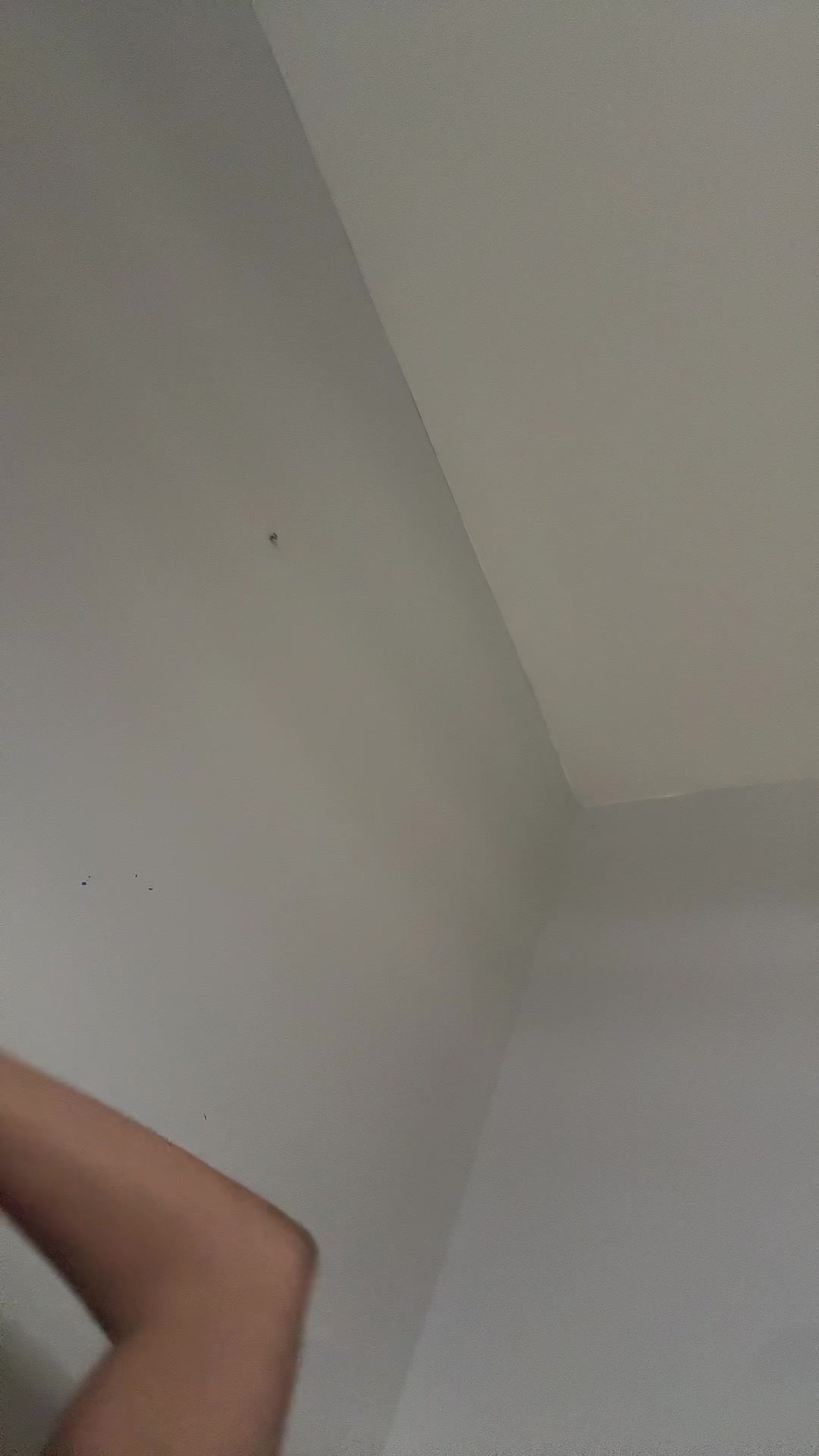 @stankaabutt