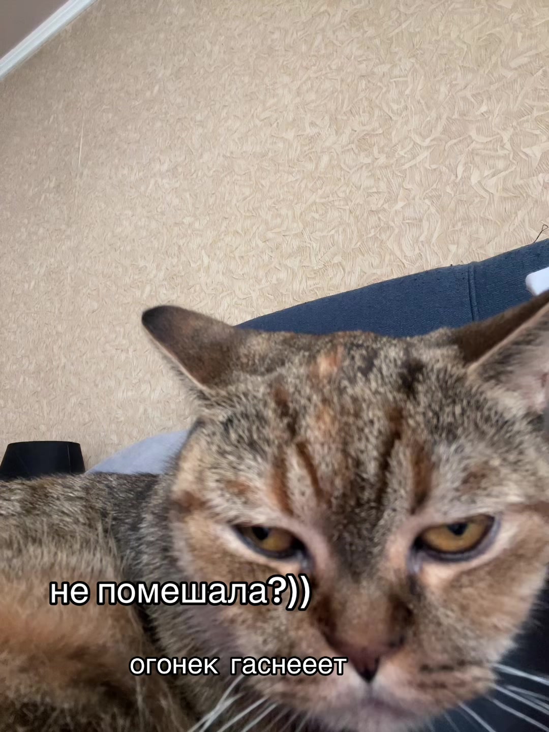 @evkalovkee_75