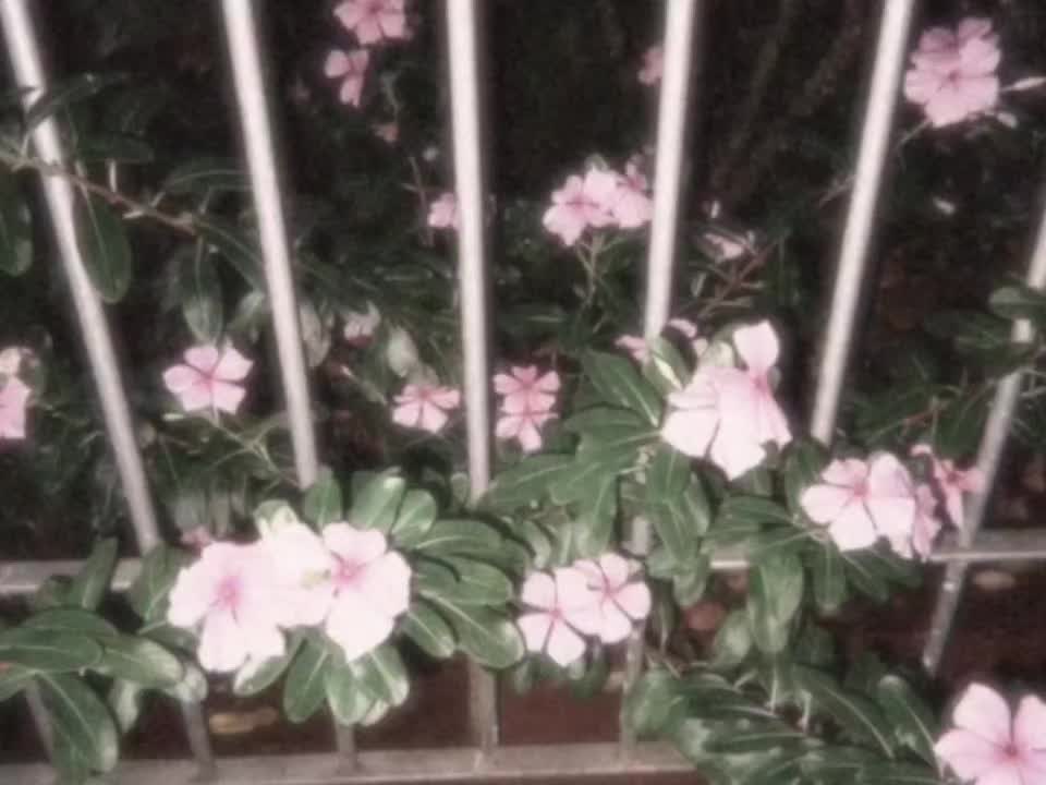 @𝘿𝙄𝙂𝙄𝙏𝘼𝙇𝙄𝙎