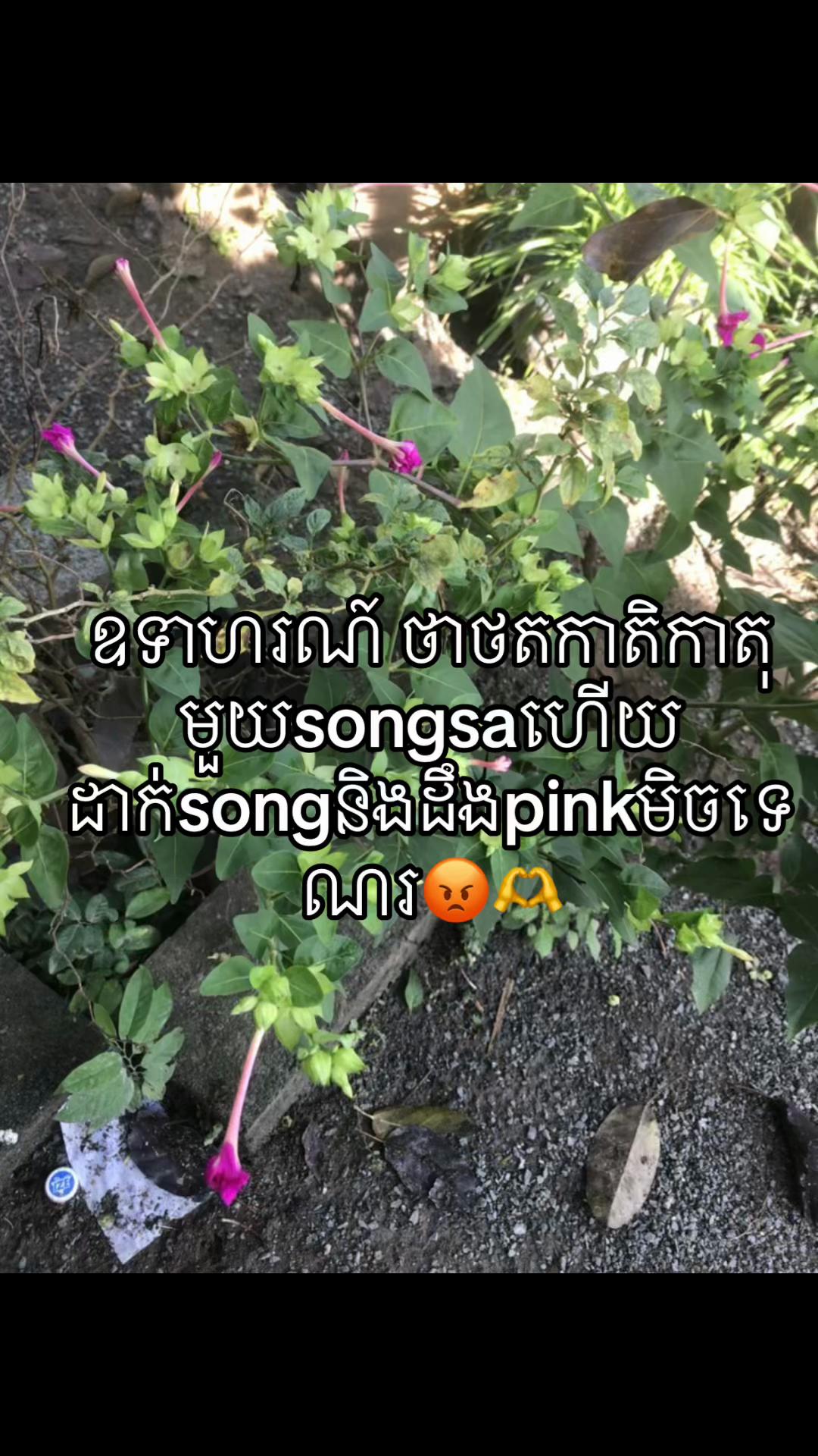 @Bbe๐ฃ